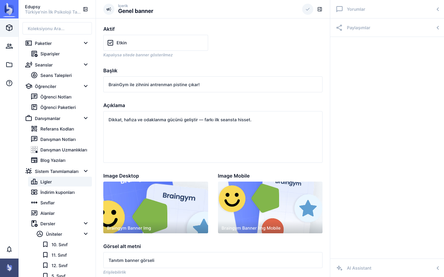 Directus genel banner singleton ekranı